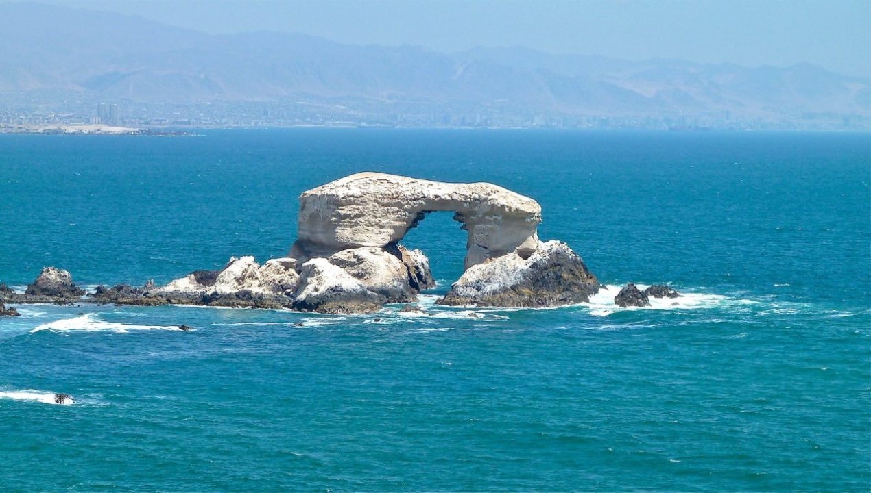 /danan-areas-de-nidificacion-en-monumento-la-portada-de-antofagasta