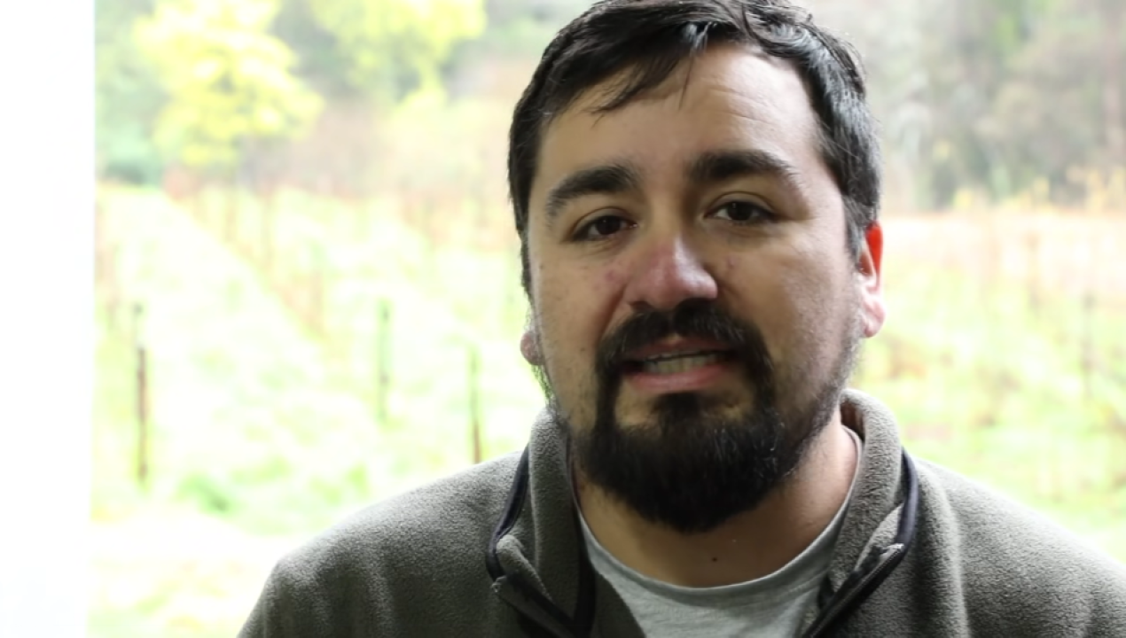 /tirua-se-prepara-para-recibir-el-iii-encuentro-mentes-creativas