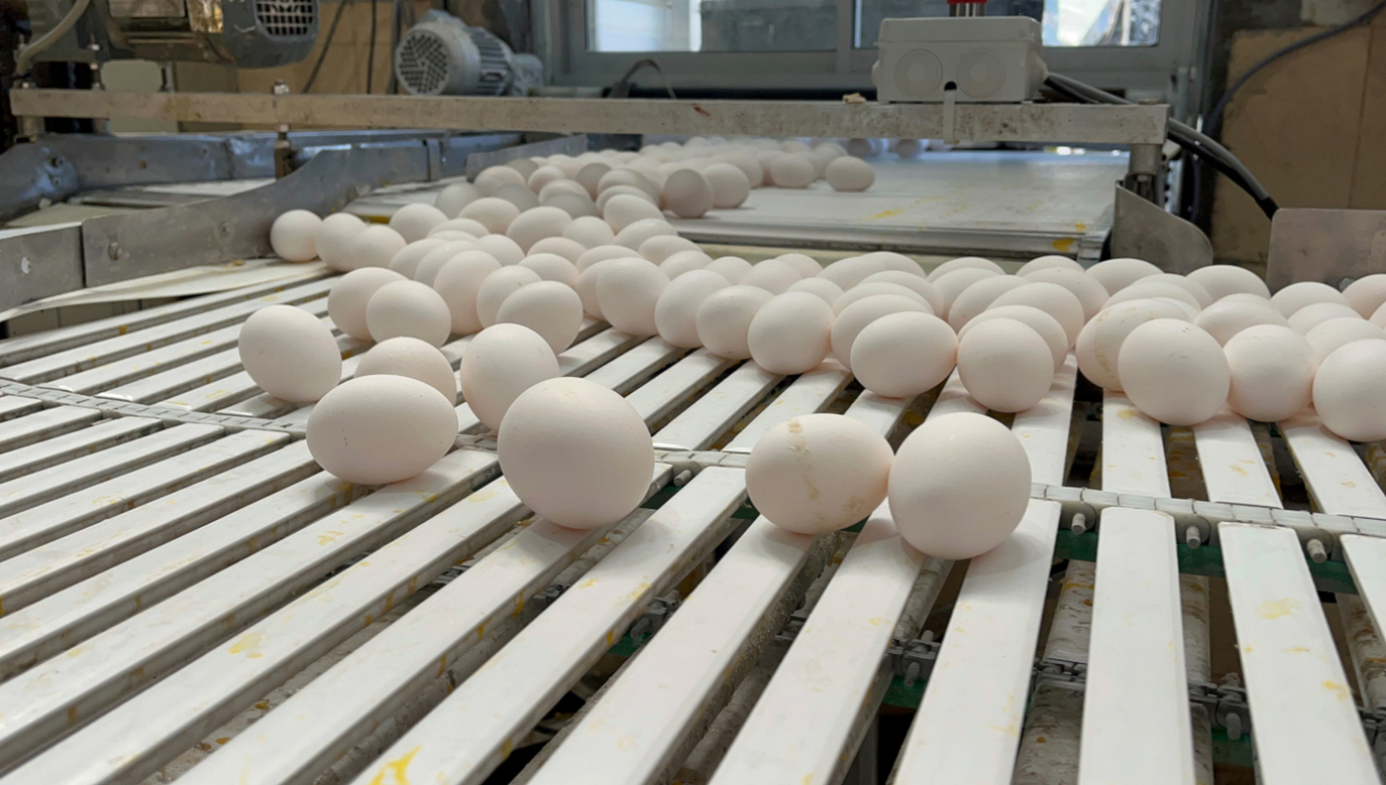 /llamado-a-reforzar-las-medidas-de-bioseguridad-sag-biobio-se-reunio-con