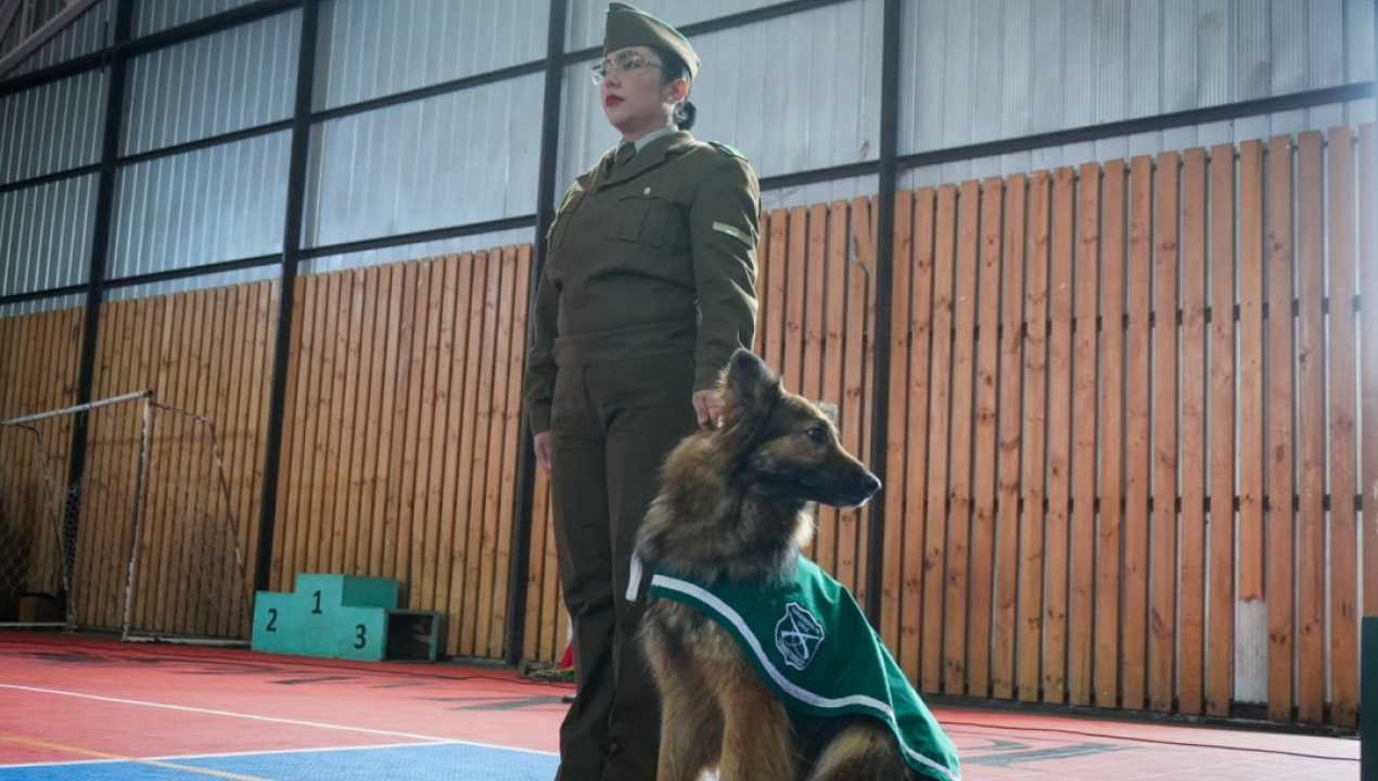 /brigada-canina-de-carabineros-acerco-su-trabajo-a-la-comunidad-escolar-de