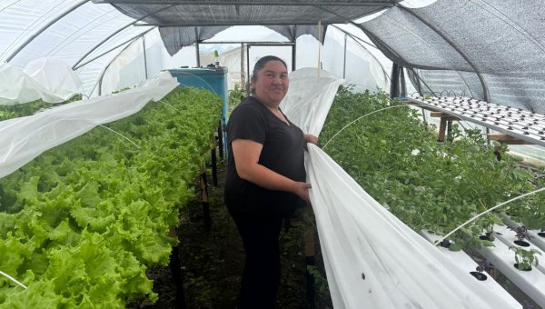 Agricultores natalinos aseguran 20 días de autonomía hídrica