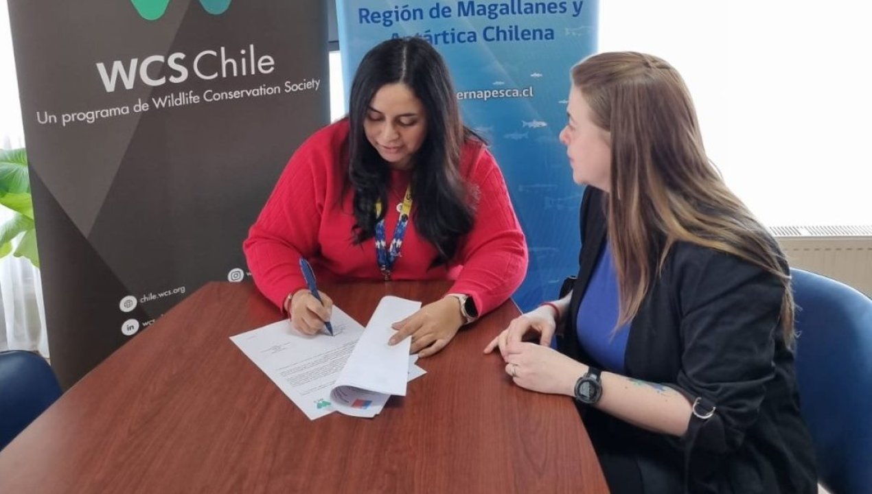 /sernapesca-y-wcs-chile-fortalecen-alianza-para-la-conservacion-marina-en