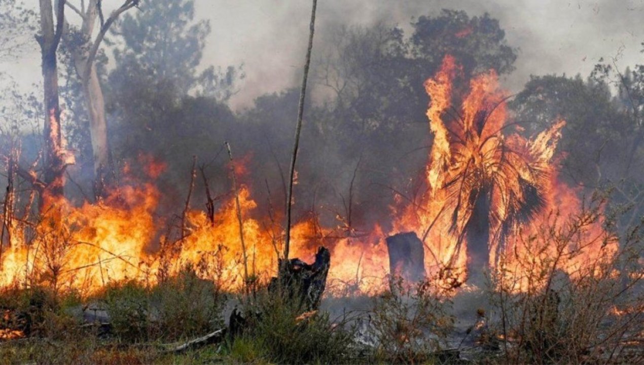 /internacional/america-del-sur/argentina/gobierno-argentino-tilda-de-terrorista-a-grupo-mapuche-ligado-a-incendios