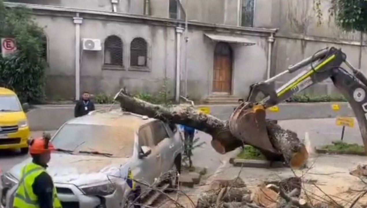 /regionales/region-del-biobio/arbol-de-20-metro-cayo-sobre-auto-del-alcalde-de-concepcion