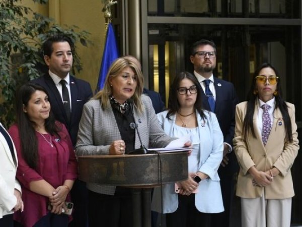 Zandra Parisi anuncia quiebre con el Gobierno previo a votación de Reconstrucción Nacional