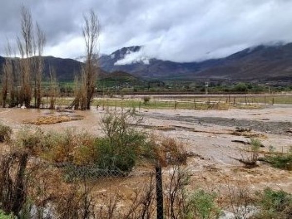 Cooperativa Control Pisquero busca a agricultores aislados en cuatro valles