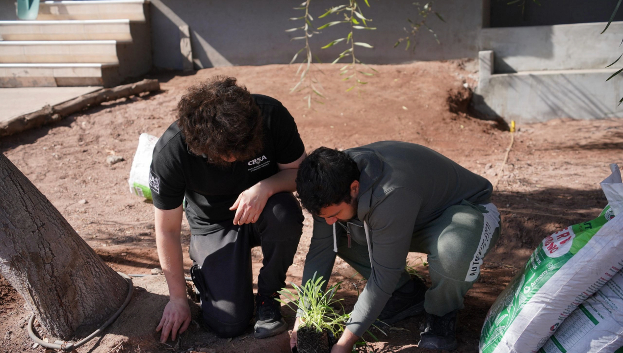 /universidad-de-antofagasta-transforma-espacios-urbanos-con-areas-verdes