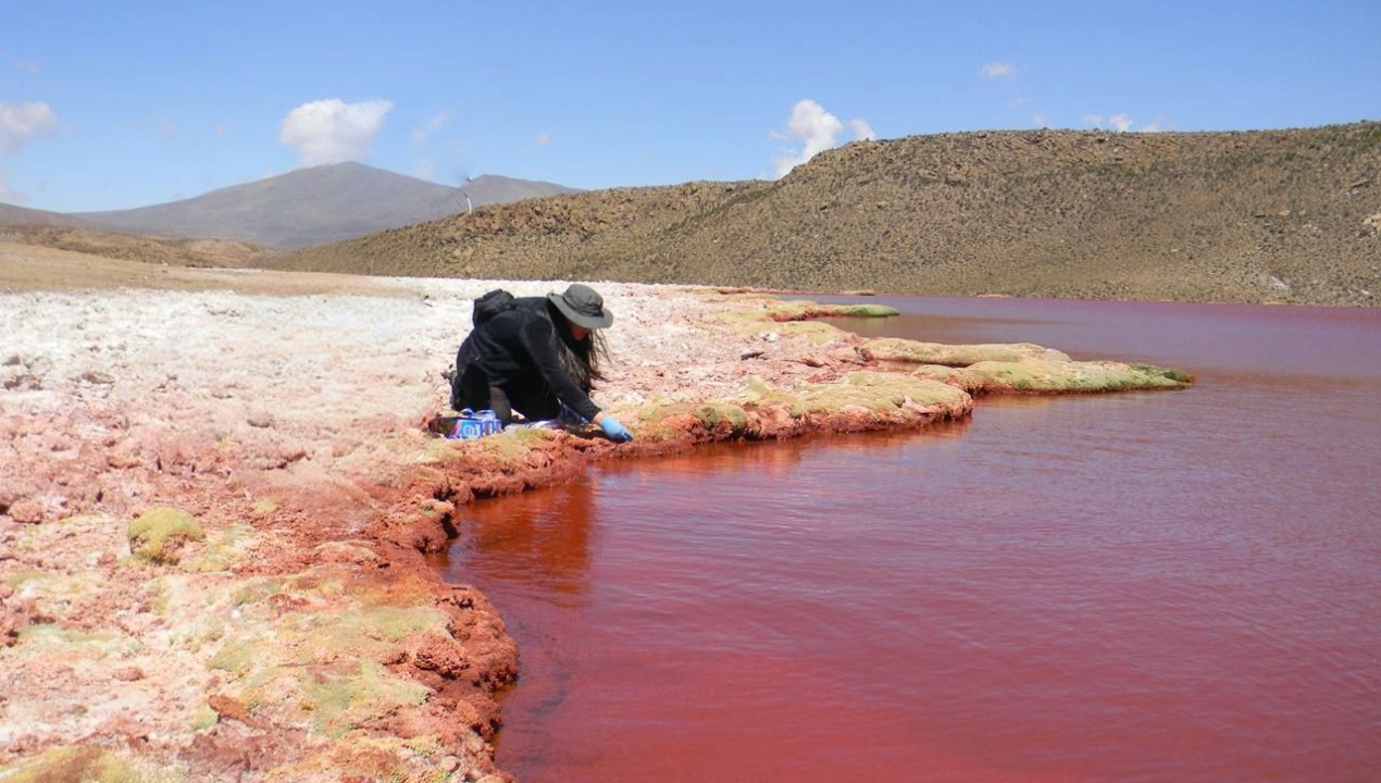 /cientificos-posicionaron-la-ecologia-microbiana-del-desierto-de-atacama-en