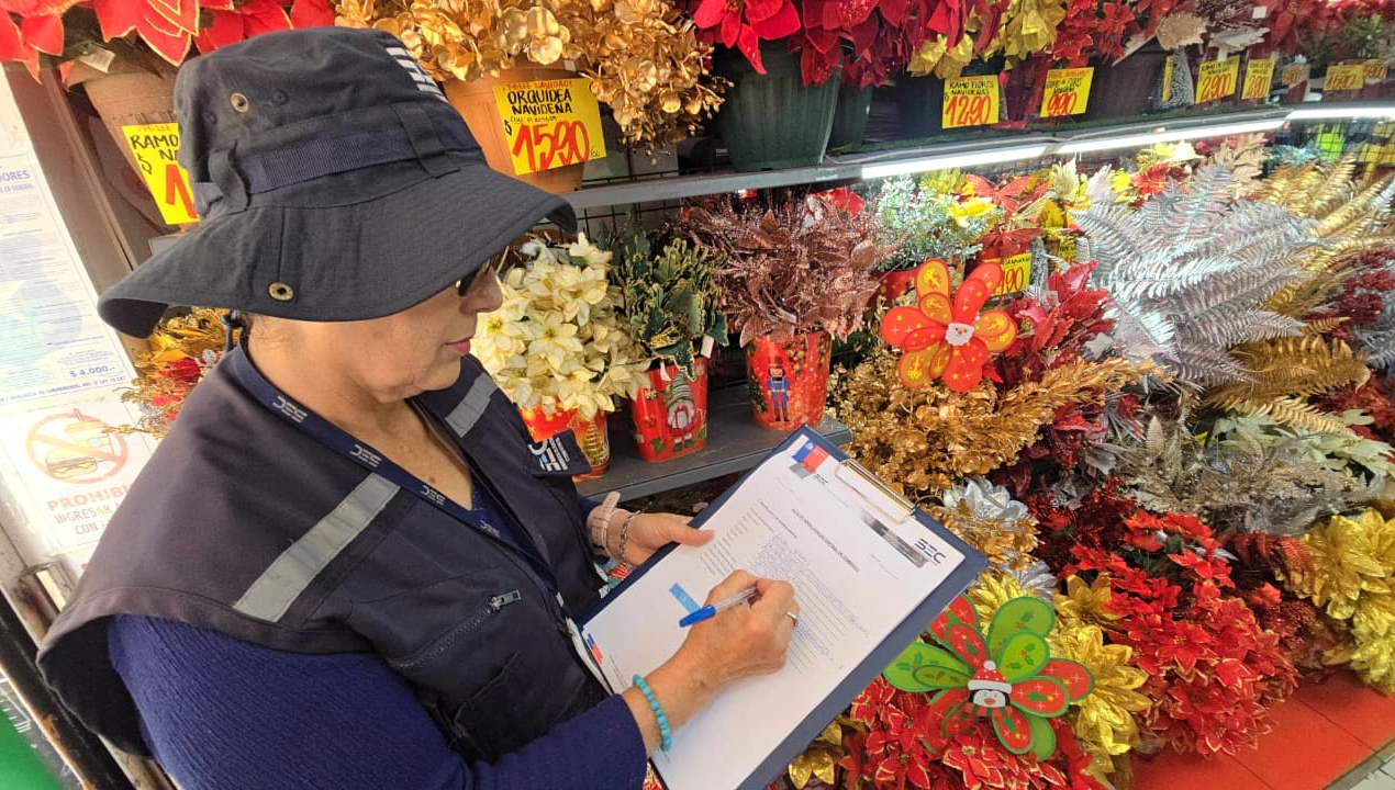 /sec-fiscaliza-venta-de-guirnaldas-navidenas-y-llama-a-comprar-solo